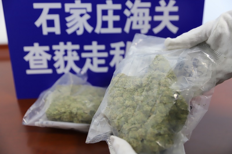 图为石家庄海关查获的大麻+杨政轩摄